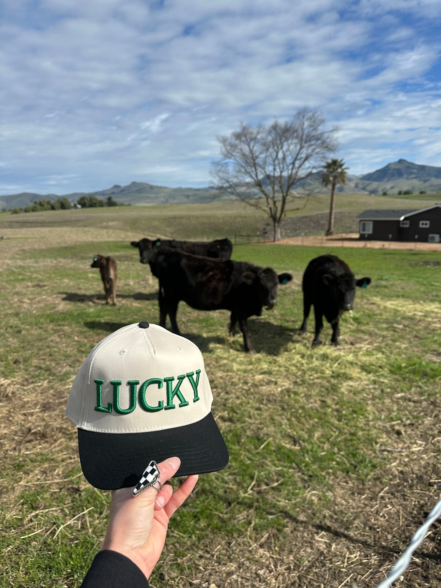 Lucky Snapback