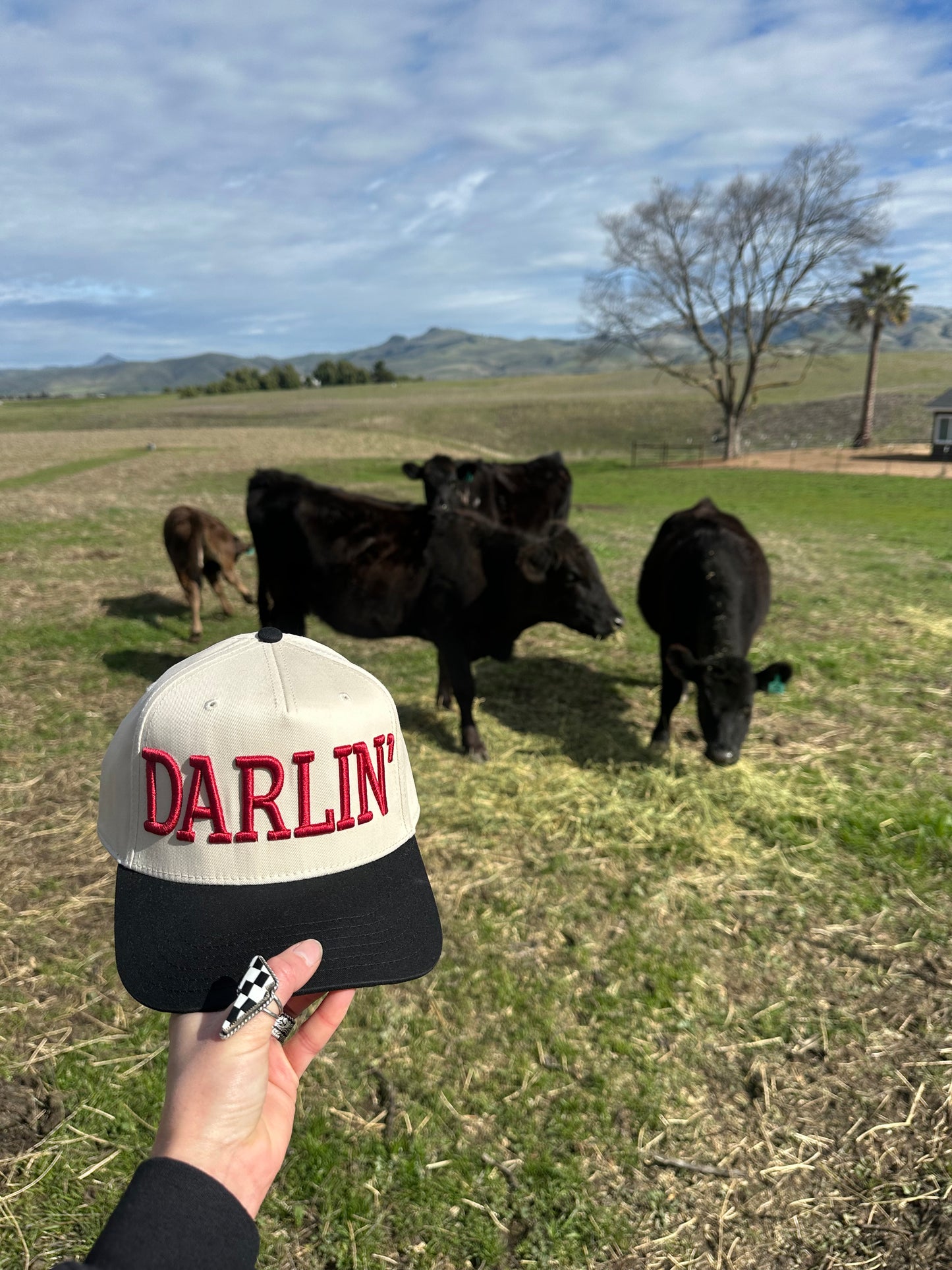 Darlin’ Snapback