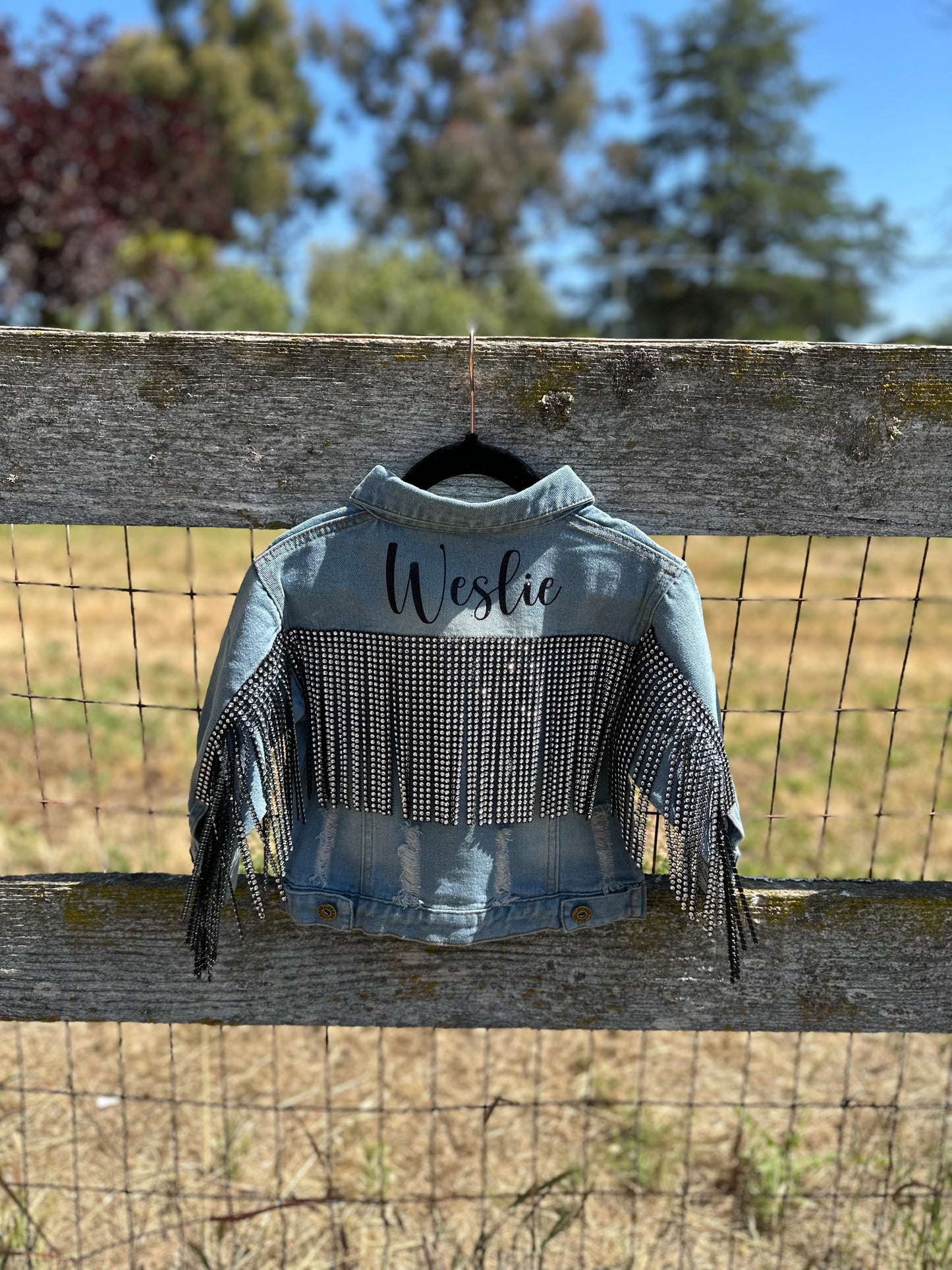 Toddler Distressed Rhinestone Fringe Jean Jacket