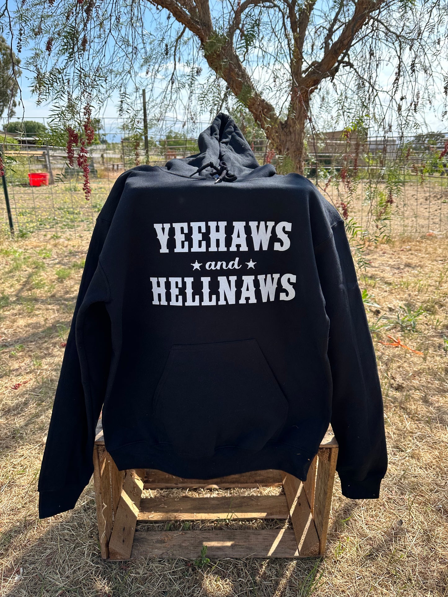 Yeehaws & Hellnaws Hoodie