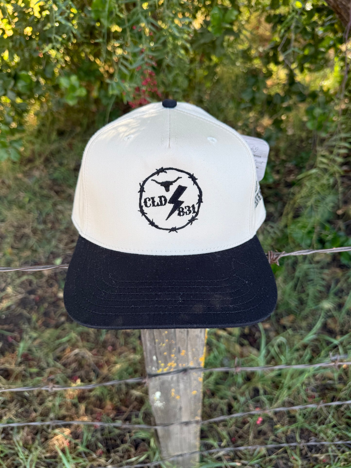 CLD831 Snapback