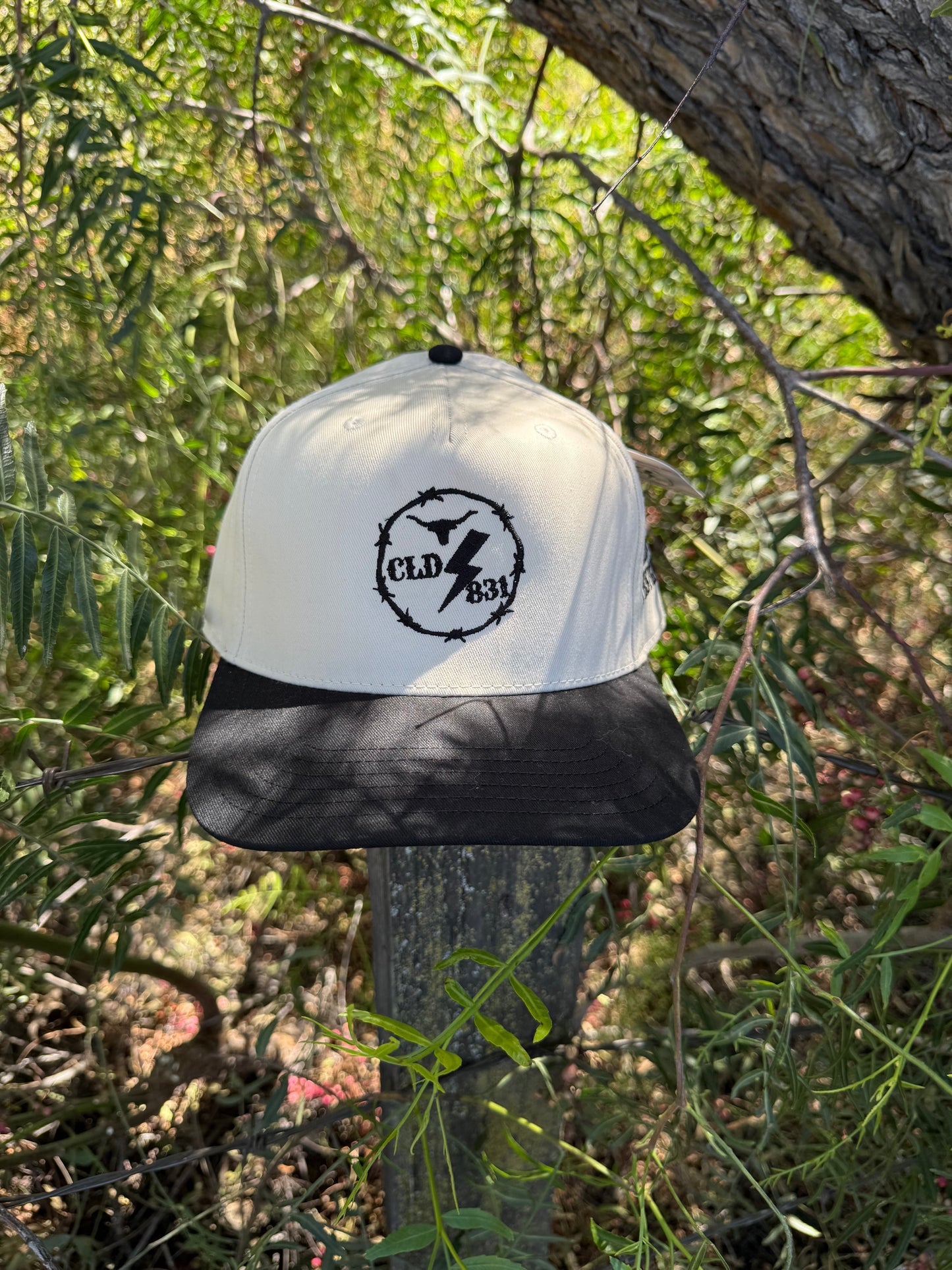 CLD831 Snapback