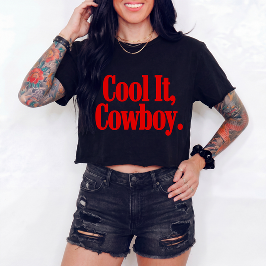 Cool It Cowboy Crop Top