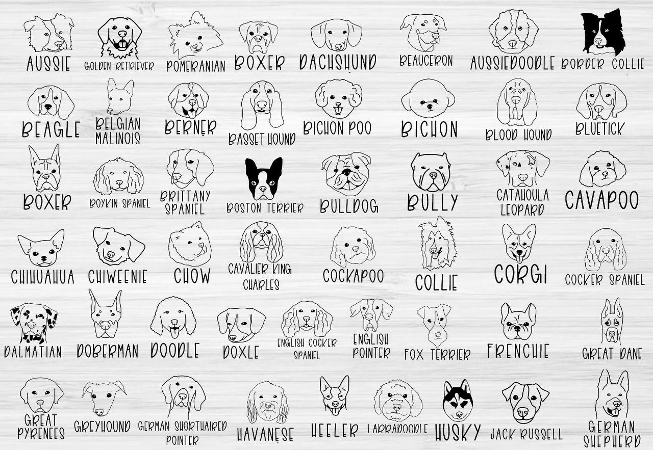 Dog Doodle Tee