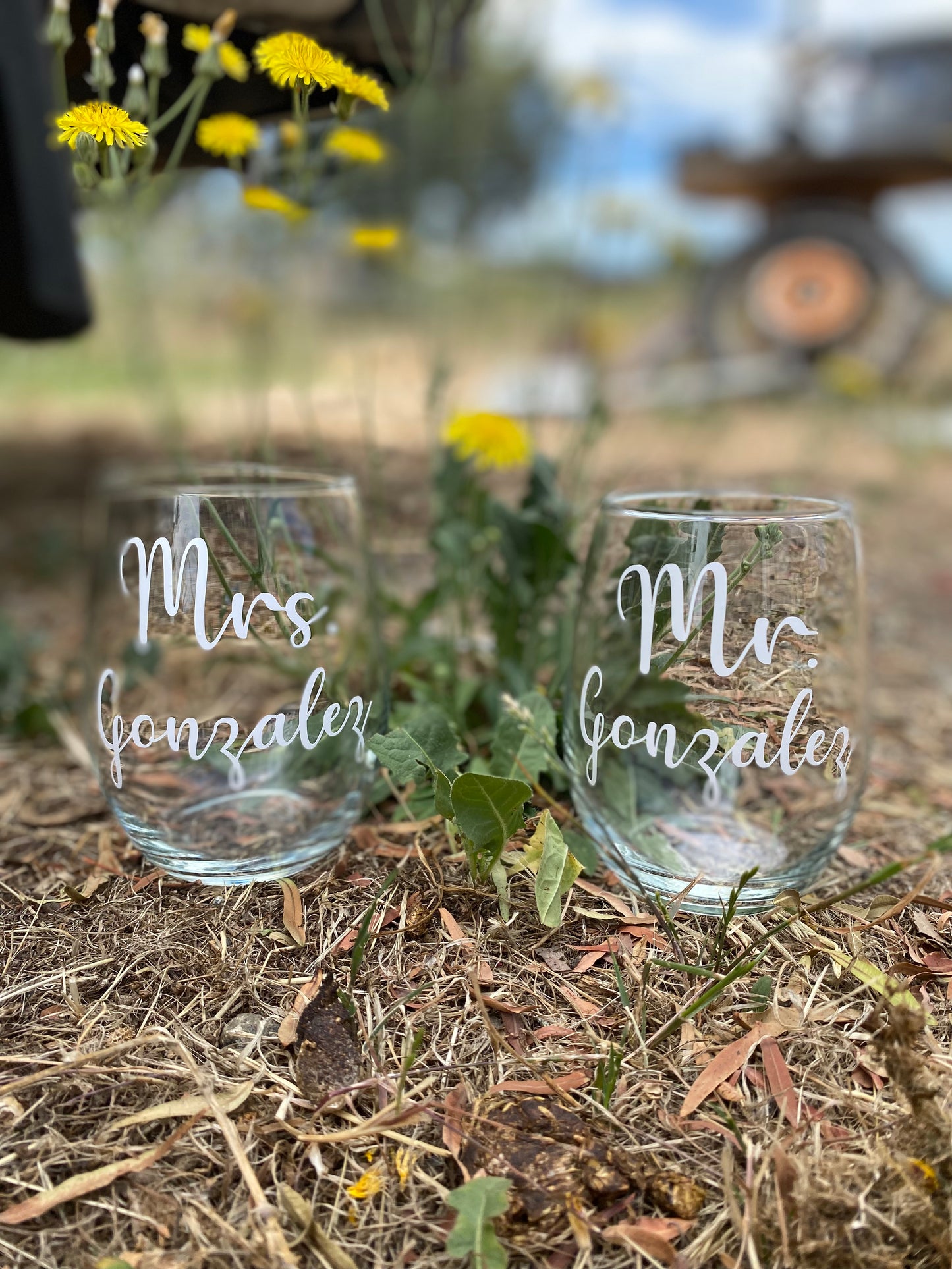 Mr. & Mrs. Wine Glasses