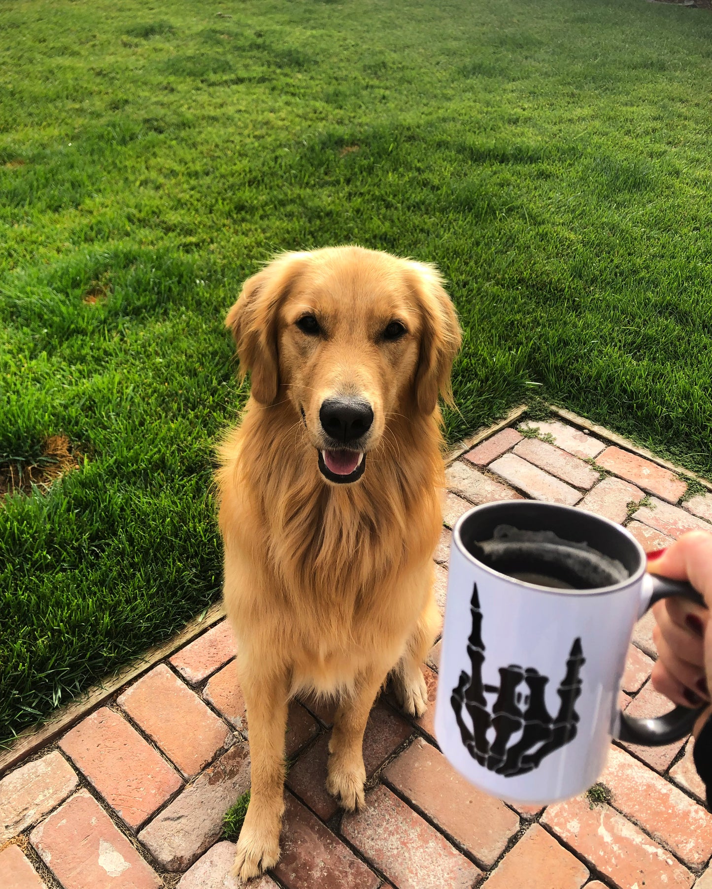 Rock On Skeleton Mug